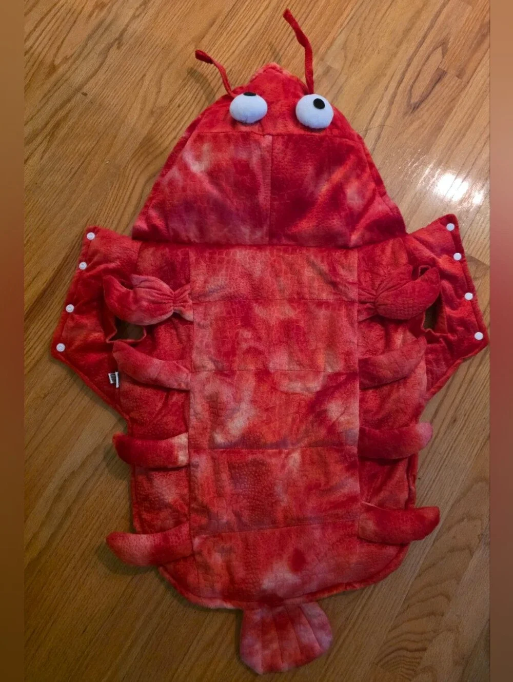 Cawaii Red Lobster Halloween Dog Costume Size 20 ( Medium Sz Dog) 20